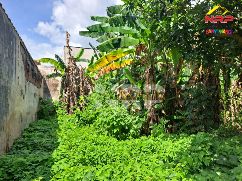 Dijual Tanah Siap Bangun di Perum Kebalenan Indah - Banyuwangi  Dijual Tanah Siap Bangun di Perum Kebalenan Indah - Banyuwangi  Dijual Tanah Siap Bangun di Perum Kebalenan Indah - Banyuwangi&nbsp;
Lokasi Strategis di pusat kota Banyuwangi, Berada dibelakang Bank BTN NRP BANYUWANGI