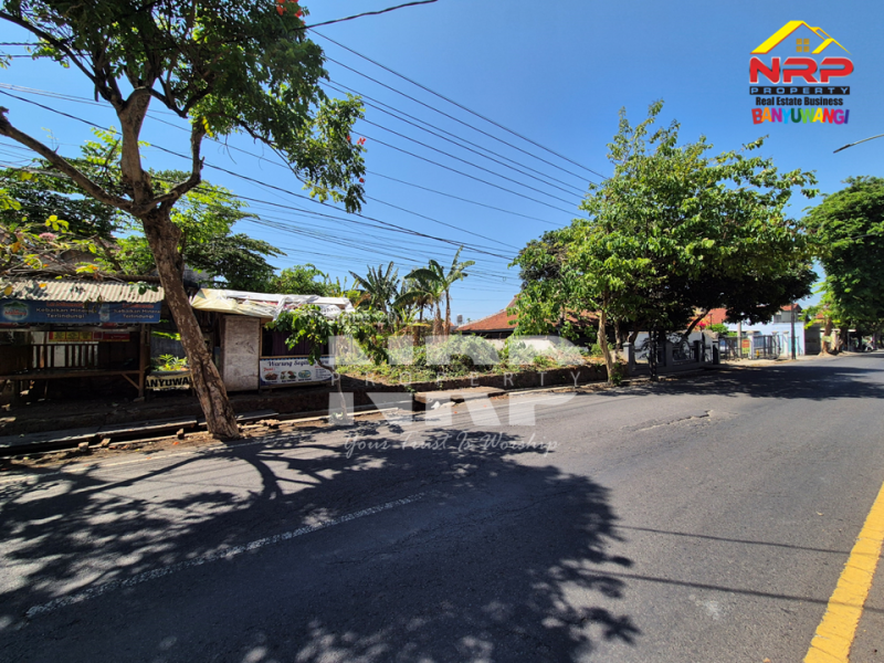 Dijual Tanah Siap Bangun di Ruas Jl.Brawijaya, Kebalenan - Banyuwangi  Dijual Tanah Siap Bangun di Ruas Jl.Brawijaya, Kebalenan - Banyuwangi  Dijual Tanah Siap Bangun di Ruas Jl.Brawijaya, Kebalenan - Banyuwangi&nbsp;
Premium Location di Pusat Kota Banyuwangi.
Cocok untuk kantor, gudang, ruko, dan NRP BANYUWANGI