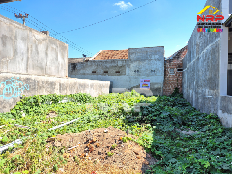 Dijual Tanah Siap Bangun di salah satu Cluster di Banyuwangi Kota  Dijual Tanah Siap Bangun di salah satu Cluster di Banyuwangi Kota  Dijual Tanah Siap Bangun di salah satu Cluster di Banyuwangi Kota&nbsp;
Lingkungan tenang, akses jalan lebar, Legalitas juga aman .&nbsp;

Luas Tanah : 107 NRP BANYUWANGI