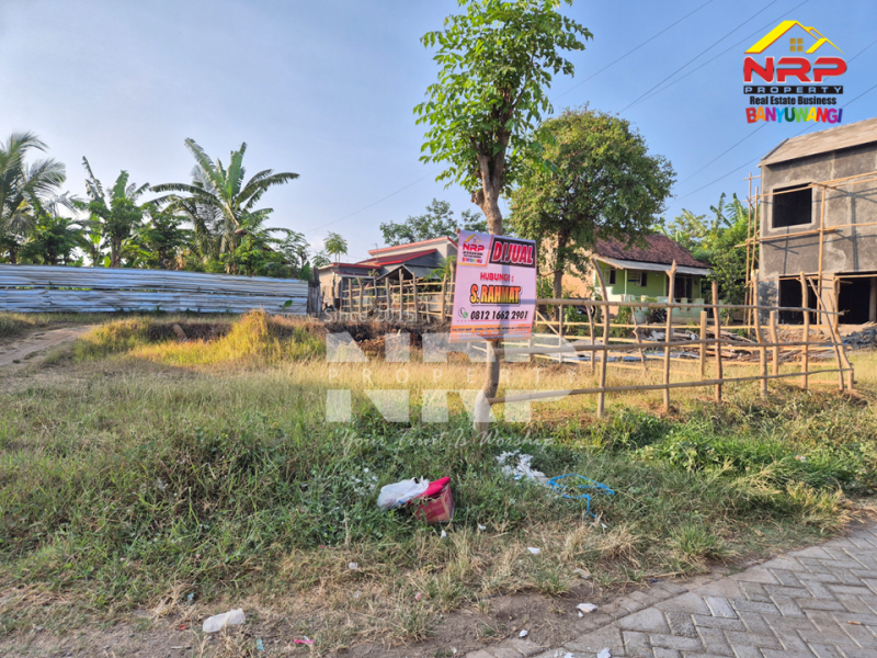 Dijual Tanah Siap Bangun di Singotrunan - Banyuwangi Dijual Tanah Siap Bangun di Singotrunan - Banyuwangi Dijual Tanah Siap Bangun di Singotrunan - Banyuwangi
Dekat dengan SMP 3 Banyuwangi, 5 Menit dari Pusat Bisnis Jl. Basuki Rahmat
Akses Jln. NRP BANYUWANGI