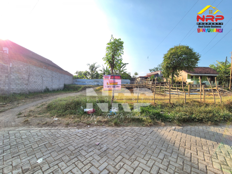Dijual Tanah Siap Bangun di Singotrunan - Banyuwangi Dijual Tanah Siap Bangun di Singotrunan - Banyuwangi Dijual Tanah Siap Bangun di Singotrunan - Banyuwangi
Dekat dengan SMP 3 Banyuwangi, 5 Menit dari Pusat Bisnis Jl. Basuki Rahmat
Akses Jln. NRP BANYUWANGI