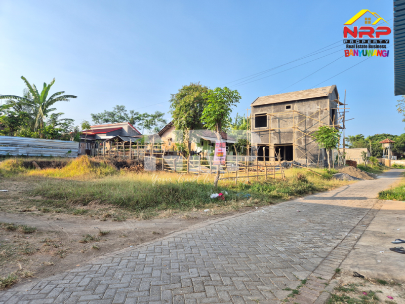 Dijual Tanah Siap Bangun di Singotrunan - Banyuwangi Dijual Tanah Siap Bangun di Singotrunan - Banyuwangi Dijual Tanah Siap Bangun di Singotrunan - Banyuwangi
Dekat dengan SMP 3 Banyuwangi, 5 Menit dari Pusat Bisnis Jl. Basuki Rahmat
Akses Jln. NRP BANYUWANGI