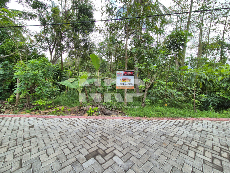 Dijual Tanah Siap Bangun di Sobo - Banyuwangi  Dijual Tanah Siap Bangun di Sobo - Banyuwangi  Dijual Tanah Siap Bangun di Sobo - Banyuwangi&nbsp;
Terletak di Dekat Pantai Sobo , Dekat Aquaculture STP Banyuwangi.
Akses sudah jalan NRP BANYUWANGI