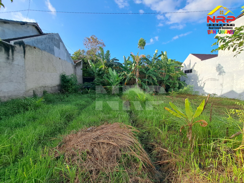 Dijual Tanah Siap Bangun di Sobo - Banyuwangi  Dijual Tanah Siap Bangun di Sobo - Banyuwangi  Dijual Tanah Siap Bangun di Sobo - Banyuwangi&nbsp;
Berada di Tengah Kota. Dekat dengan fasilitas pendidikan, perbelanjaan dan sentra kuliner.&nbsp;
Akses NRP BANYUWANGI