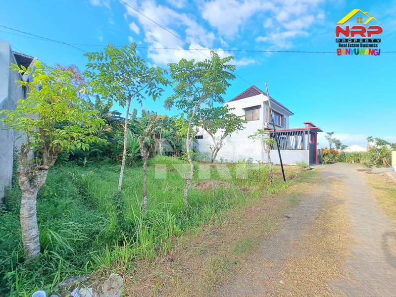 Dijual Tanah Siap Bangun di Sobo - Banyuwangi  Dijual Tanah Siap Bangun di Sobo - Banyuwangi  Dijual Tanah Siap Bangun di Sobo - Banyuwangi&nbsp;
Berada di Tengah Kota. Dekat dengan fasilitas pendidikan, perbelanjaan dan sentra kuliner.&nbsp;
Akses NRP BANYUWANGI