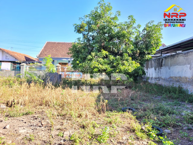 Dijual Tanah Siap Bangun di Sukowidi Banyuwangi   Dijual Tanah Siap Bangun di Sukowidi Banyuwangi   Dijual Tanah Siap Bangun di Sukowidi Banyuwangi&nbsp;&nbsp;
Tanah luas, dekat kawasan vila dan perhotelan, akses jalan perkampungan paving.&nbsp;

Luas NRP BANYUWANGI
