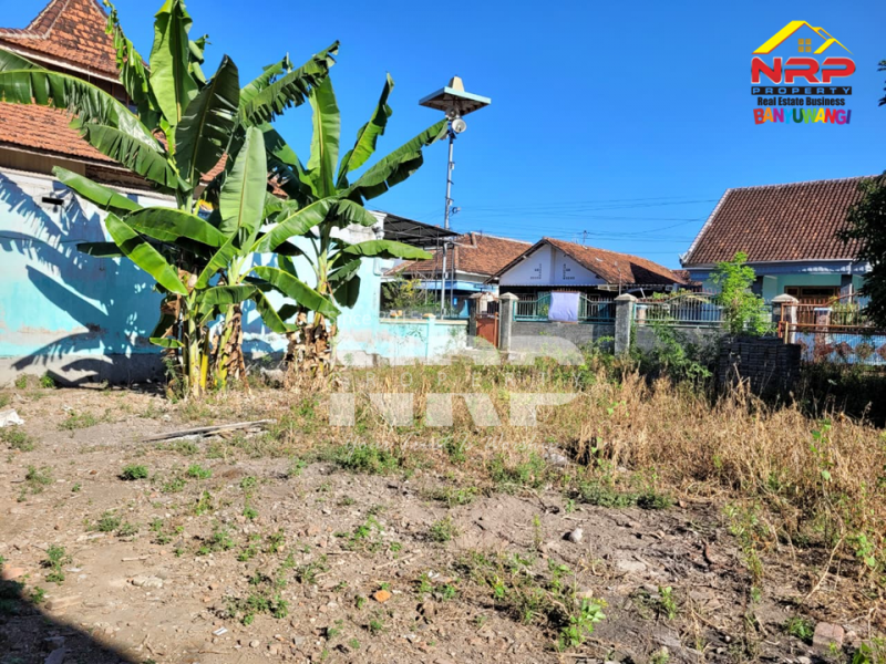 Dijual Tanah Siap Bangun di Sukowidi Banyuwangi   Dijual Tanah Siap Bangun di Sukowidi Banyuwangi   Dijual Tanah Siap Bangun di Sukowidi Banyuwangi&nbsp;&nbsp;
Tanah luas, dekat kawasan vila dan perhotelan, akses jalan perkampungan paving.&nbsp;

Luas NRP BANYUWANGI