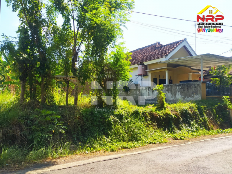 Dijual Tanah Siap Bangun di tepi Jl. Pendaruangan - Banyuwangi  Dijual Tanah Siap Bangun di tepi Jl. Pendaruangan - Banyuwangi  Dijual Tanah Siap Bangun di tepi Jl. Pendaruangan - Banyuwangi&nbsp;
Dapat akses 2 jalan depan jl. utama, belakang jalan gang.&nbsp;

Luas Tanah : 429 NRP BANYUWANGI