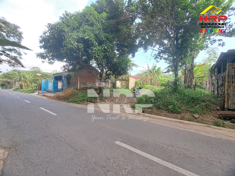 Dijual Tanah Siap Bangun di tepi Jl. Pendarungan - Banyuwangi  Dijual Tanah Siap Bangun di tepi Jl. Pendarungan - Banyuwangi  Dijual Tanah Siap Bangun di tepi Jl. Pendarungan - Banyuwangi&nbsp;
Jalan alternatif menuju Kawah ijen dan Jl Provinsi Dadapan Banyuwangi&nbsp;

Luas Tanah NRP BANYUWANGI