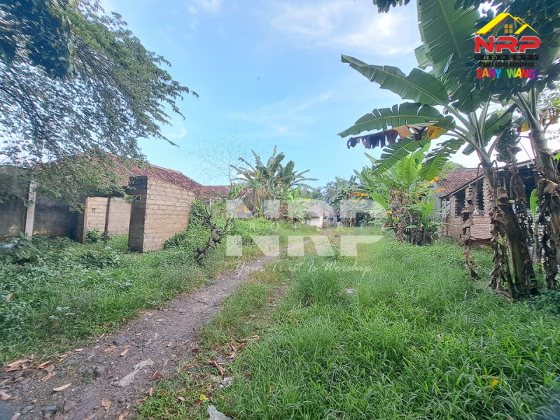 Dijual Tanah Siap Bangun di tepi Jl. Pendarungan - Banyuwangi  Dijual Tanah Siap Bangun di tepi Jl. Pendarungan - Banyuwangi  Dijual Tanah Siap Bangun di tepi Jl. Pendarungan - Banyuwangi&nbsp;
Jalan alternatif menuju Kawah ijen dan Jl Provinsi Dadapan Banyuwangi&nbsp;

Luas Tanah NRP BANYUWANGI