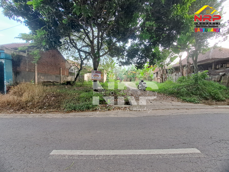 Dijual Tanah Siap Bangun di tepi Jl. Pendarungan - Banyuwangi  Dijual Tanah Siap Bangun di tepi Jl. Pendarungan - Banyuwangi  Dijual Tanah Siap Bangun di tepi Jl. Pendarungan - Banyuwangi&nbsp;
Jalan alternatif menuju Kawah ijen dan Jl Provinsi Dadapan Banyuwangi&nbsp;

Luas Tanah NRP BANYUWANGI