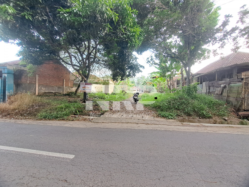 Dijual Tanah Siap Bangun di tepi Jl. Pendarungan - Banyuwangi  Dijual Tanah Siap Bangun di tepi Jl. Pendarungan - Banyuwangi  Dijual Tanah Siap Bangun di tepi Jl. Pendarungan - Banyuwangi&nbsp;
Jalan alternatif menuju Kawah ijen dan Jl Provinsi Dadapan Banyuwangi&nbsp;

Luas Tanah NRP BANYUWANGI