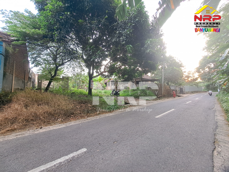 Dijual Tanah Siap Bangun di tepi Jl. Pendarungan - Banyuwangi  Dijual Tanah Siap Bangun di tepi Jl. Pendarungan - Banyuwangi  Dijual Tanah Siap Bangun di tepi Jl. Pendarungan - Banyuwangi&nbsp;
Jalan alternatif menuju Kawah ijen dan Jl Provinsi Dadapan Banyuwangi&nbsp;

Luas Tanah NRP BANYUWANGI