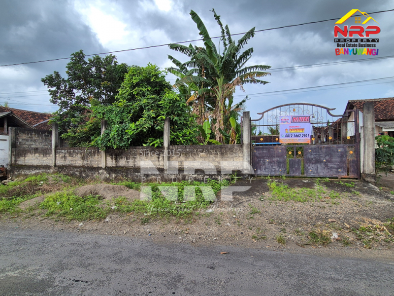 Dijual Tanah Siap Bangun di tepi Jln Lintas Selatan - Watukebo, Banyuwangi  Dijual Tanah Siap Bangun di tepi Jln Lintas Selatan - Watukebo, Banyuwangi  Dijual Tanah Siap Bangun di tepi Jln Lintas Selatan - Watukebo, Banyuwangi&nbsp;
Cocok untuk gudang, hunian dll&nbsp;

Luas Tanah : 779 NRP BANYUWANGI