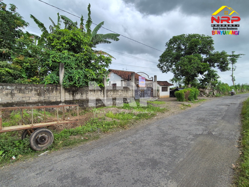 Dijual Tanah Siap Bangun di tepi Jln Lintas Selatan - Watukebo, Banyuwangi  Dijual Tanah Siap Bangun di tepi Jln Lintas Selatan - Watukebo, Banyuwangi  Dijual Tanah Siap Bangun di tepi Jln Lintas Selatan - Watukebo, Banyuwangi&nbsp;
Cocok untuk gudang, hunian dll&nbsp;

Luas Tanah : 779 NRP BANYUWANGI