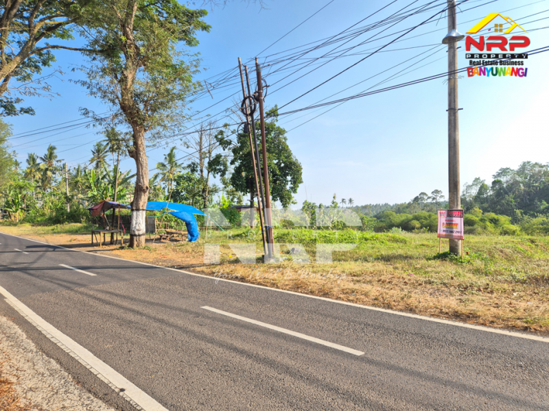 Dijual Tanah Siap Bangun di tepi Jln Raya Ijen - Glagah, Banyuwangi  Dijual Tanah Siap Bangun di tepi Jln Raya Ijen - Glagah, Banyuwangi  Dijual Tanah Siap Bangun di tepi Jln Raya Ijen - Glagah, Banyuwangi&nbsp;
Akses mudah, berada di jalan utama menuju kawasan wisata kawah ijen&nbsp;
Cocok NRP BANYUWANGI
