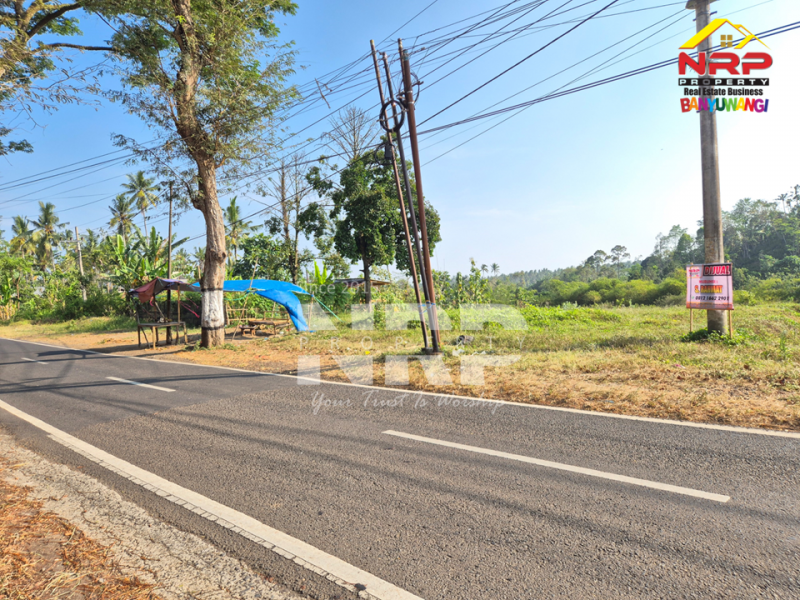 Dijual Tanah Siap Bangun di tepi Jln Raya Ijen - Glagah, Banyuwangi  Dijual Tanah Siap Bangun di tepi Jln Raya Ijen - Glagah, Banyuwangi  Dijual Tanah Siap Bangun di tepi Jln Raya Ijen - Glagah, Banyuwangi&nbsp;
Akses mudah, berada di jalan utama menuju kawasan wisata kawah ijen&nbsp;
Cocok NRP BANYUWANGI