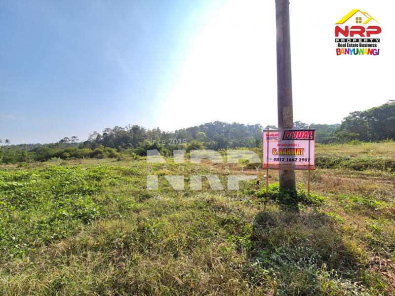 Dijual Tanah Siap Bangun di tepi Jln Raya Ijen - Glagah, Banyuwangi  Dijual Tanah Siap Bangun di tepi Jln Raya Ijen - Glagah, Banyuwangi  Dijual Tanah Siap Bangun di tepi Jln Raya Ijen - Glagah, Banyuwangi&nbsp;
Akses mudah, berada di jalan utama menuju kawasan wisata kawah ijen&nbsp;
Cocok NRP BANYUWANGI