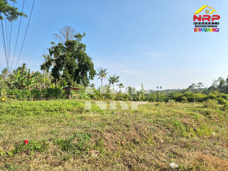 Dijual Tanah Siap Bangun di tepi Jln Raya Ijen - Glagah, Banyuwangi  Dijual Tanah Siap Bangun di tepi Jln Raya Ijen - Glagah, Banyuwangi  Dijual Tanah Siap Bangun di tepi Jln Raya Ijen - Glagah, Banyuwangi&nbsp;
Akses mudah, berada di jalan utama menuju kawasan wisata kawah ijen&nbsp;
Cocok NRP BANYUWANGI