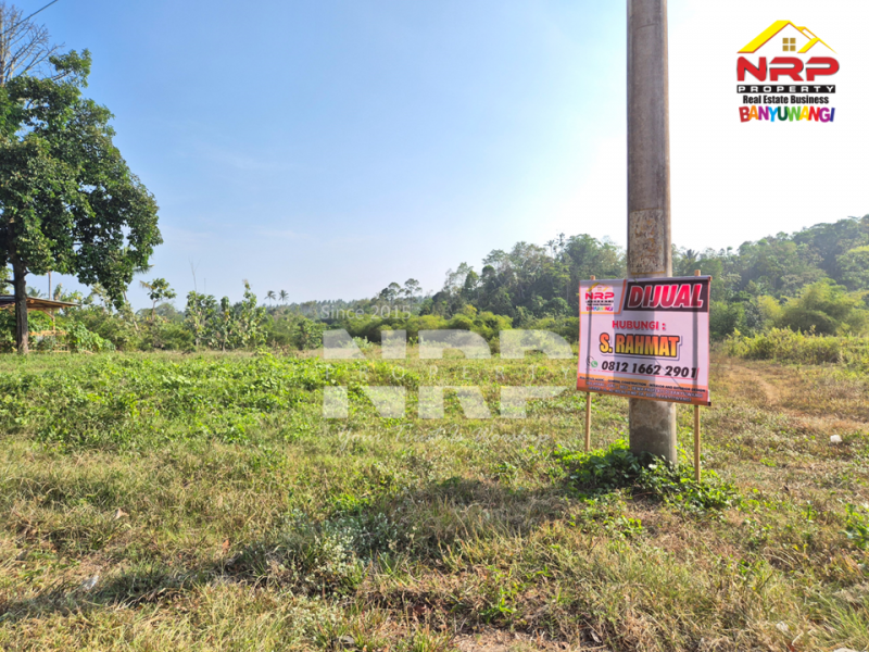 Dijual Tanah Siap Bangun di tepi Jln Raya Ijen - Glagah, Banyuwangi  Dijual Tanah Siap Bangun di tepi Jln Raya Ijen - Glagah, Banyuwangi  Dijual Tanah Siap Bangun di tepi Jln Raya Ijen - Glagah, Banyuwangi&nbsp;
Akses mudah, berada di jalan utama menuju kawasan wisata kawah ijen&nbsp;
Cocok NRP BANYUWANGI