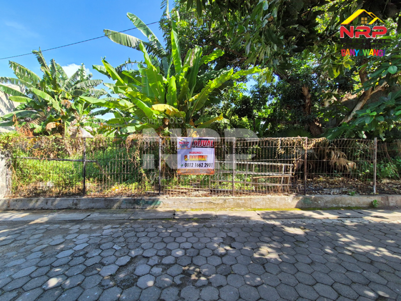 Dijual Tanah Siap Bangun di Tukangkayu - Banyuwangi  Dijual Tanah Siap Bangun di Tukangkayu - Banyuwangi  Dijual Tanah Siap Bangun di Tukangkayu - Banyuwangi&nbsp;
Sangat strategis depan MIN SOBO Banyuwangi, Dekat dengan sentra bisnis dan kuliner Jl. NRP BANYUWANGI