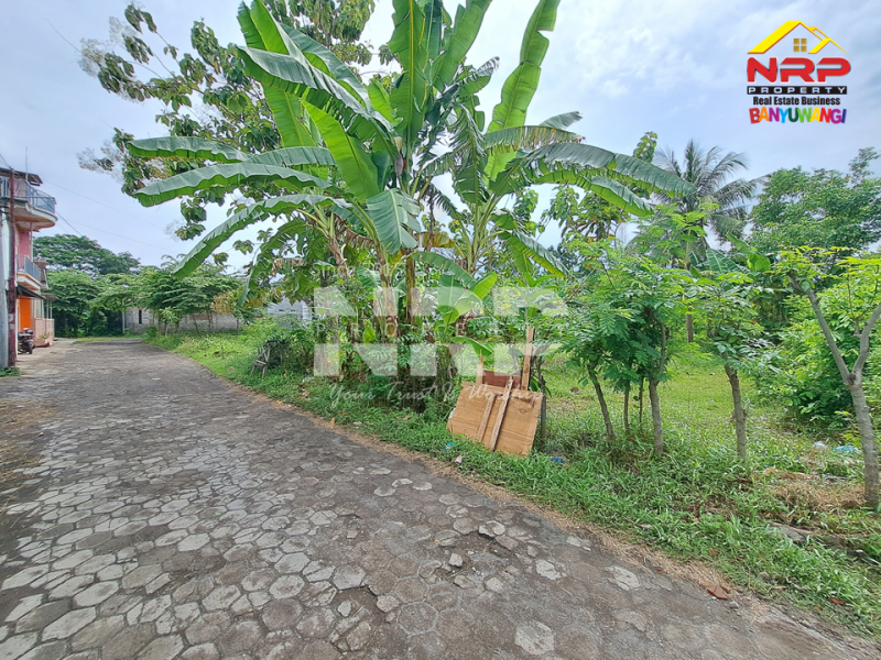 Dijual Tanah Siap Bangun Murah 20 Meter dari Jl. Lingkar Ketapang - Banyuwangi Dijual Tanah Siap Bangun Murah 20 Meter dari Jl. Lingkar Ketapang - Banyuwangi Dijual Tanah Siap Bangun Murah 20 Meter dari Jl. Lingkar Ketapang - Banyuwangi
250 Meter dari JL. Utama Ketapang
Terletak di area Bisnis Aktif Pelabuhan NRP BANYUWANGI