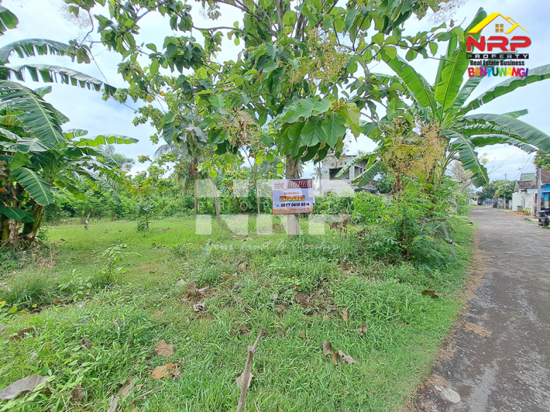 Dijual Tanah Siap Bangun Murah 20 Meter dari Jl. Lingkar Ketapang - Banyuwangi Dijual Tanah Siap Bangun Murah 20 Meter dari Jl. Lingkar Ketapang - Banyuwangi Dijual Tanah Siap Bangun Murah 20 Meter dari Jl. Lingkar Ketapang - Banyuwangi
250 Meter dari JL. Utama Ketapang
Terletak di area Bisnis Aktif Pelabuhan NRP BANYUWANGI