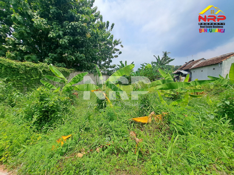 Dijual Tanah Siap Bangun Murah di Mojopanggung - Banyuwangi  Dijual Tanah Siap Bangun Murah di Mojopanggung - Banyuwangi  Dijual Tanah Siap Bangun Murah di Mojopanggung - Banyuwangi&nbsp;
Lokasi sangat strategis, Cocok Untuk Hunian atau Bangunan komersil lainnya.&nbsp;

Luas NRP BANYUWANGI