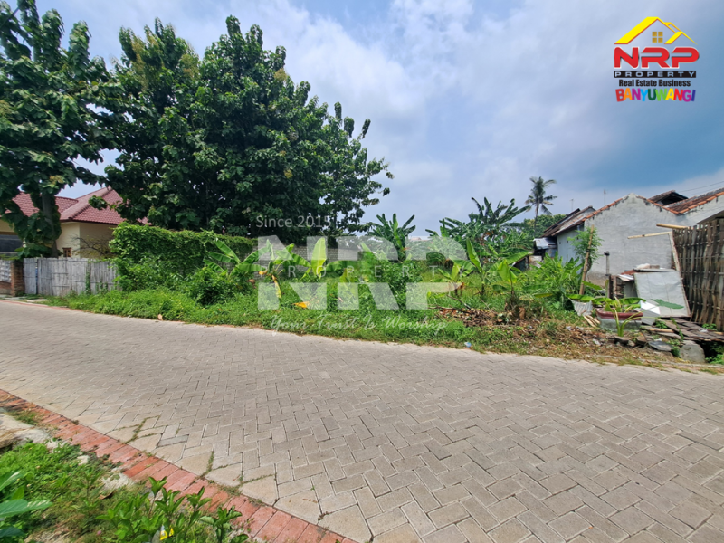 Dijual Tanah Siap Bangun Murah di Mojopanggung - Banyuwangi  Dijual Tanah Siap Bangun Murah di Mojopanggung - Banyuwangi  Dijual Tanah Siap Bangun Murah di Mojopanggung - Banyuwangi&nbsp;
Lokasi sangat strategis, Cocok Untuk Hunian atau Bangunan komersil lainnya.&nbsp;

Luas NRP BANYUWANGI
