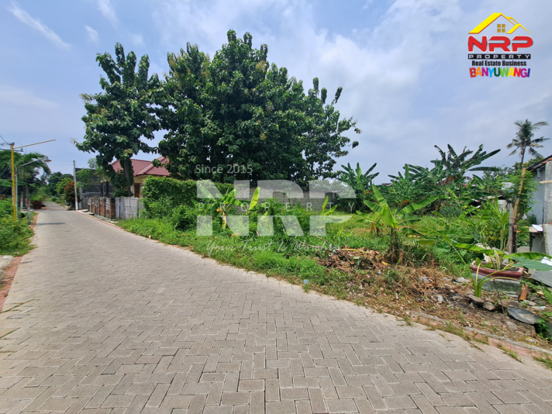 Dijual Tanah Siap Bangun Murah di Mojopanggung - Banyuwangi  Dijual Tanah Siap Bangun Murah di Mojopanggung - Banyuwangi  Dijual Tanah Siap Bangun Murah di Mojopanggung - Banyuwangi&nbsp;
Lokasi sangat strategis, Cocok Untuk Hunian atau Bangunan komersil lainnya.&nbsp;

Luas NRP BANYUWANGI