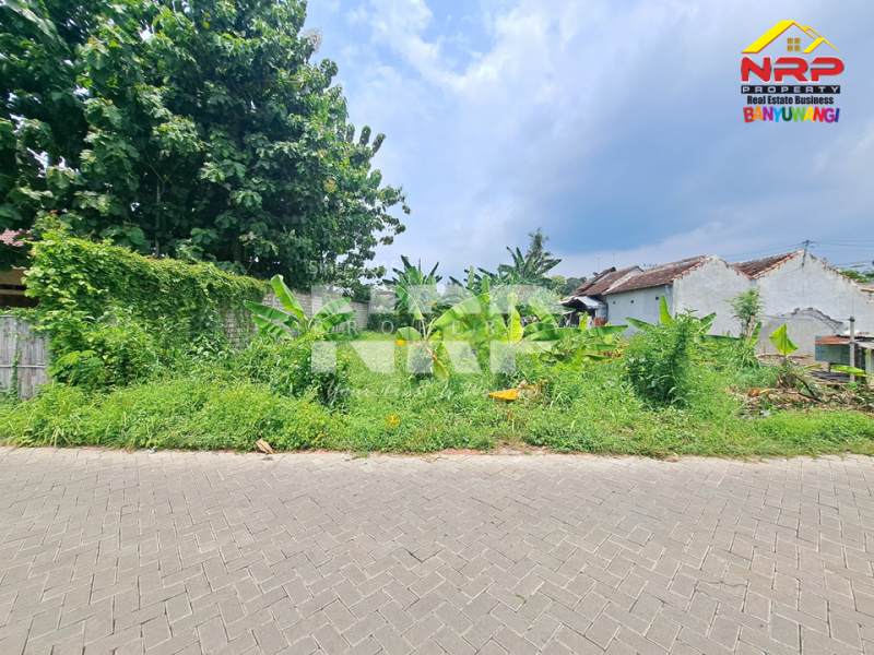 Dijual Tanah Siap Bangun Murah di Mojopanggung - Banyuwangi  Dijual Tanah Siap Bangun Murah di Mojopanggung - Banyuwangi  Dijual Tanah Siap Bangun Murah di Mojopanggung - Banyuwangi&nbsp;
Lokasi sangat strategis, Cocok Untuk Hunian atau Bangunan komersil lainnya.&nbsp;

Luas NRP BANYUWANGI