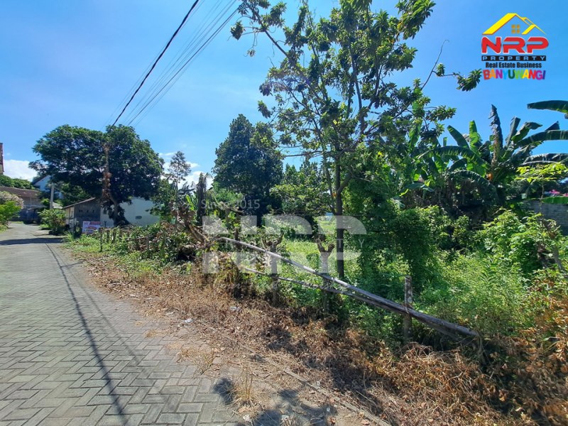 Dijual Tanah Siap Bangun Perum. Vila Brawijaya Banyuwangi  Dijual Tanah Siap Bangun Perum. Vila Brawijaya Banyuwangi  Dijual Tanah Siap Bangun Perum. Vila Brawijaya Banyuwangi&nbsp;
Lokasi strategis depan Polresta Banyuwangi, Dekat dengan TK Terpadu Al Hafidz&nbsp;

Luas NRP BANYUWANGI
