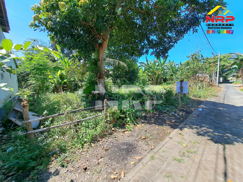 Dijual Tanah Siap Bangun Perum. Vila Brawijaya Banyuwangi  Dijual Tanah Siap Bangun Perum. Vila Brawijaya Banyuwangi  Dijual Tanah Siap Bangun Perum. Vila Brawijaya Banyuwangi&nbsp;
Lokasi strategis depan Polresta Banyuwangi, Dekat dengan TK Terpadu Al Hafidz&nbsp;

Luas NRP BANYUWANGI