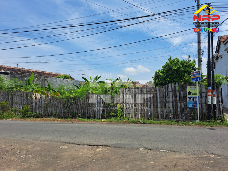 Dijual Tanah Siap Bangun Pusat Kota di Jl. Ikan Paus Karangrejo - Banyuwangi Dijual Tanah Siap Bangun Pusat Kota di Jl. Ikan Paus Karangrejo - Banyuwangi Dijual Tanah Siap Bangun Pusat Kota di Jl. Ikan Paus Karangrejo - Banyuwangi
Tanah Strategis Dekat dengan Pantai Pulai Santen Banyuwangi.Cocok untuk restoran, NRP BANYUWANGI