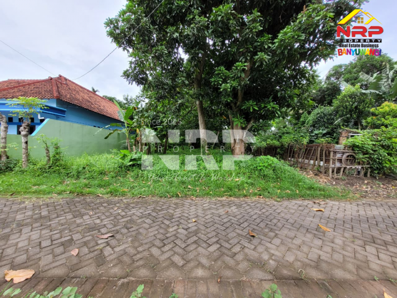 Dijual Tanah Siap Bangun Rumah Impian di Kebalenan, Banyuwangi  Dijual Tanah Siap Bangun Rumah Impian di Kebalenan, Banyuwangi  Dijual Tanah Siap Bangun Rumah Impian di Kebalenan, Banyuwangi&nbsp;
Akses Jln Roda 4. Cocok untuk investasi, hunian maupun rumah kos.

Luas Tanah : 343 NRP BANYUWANGI