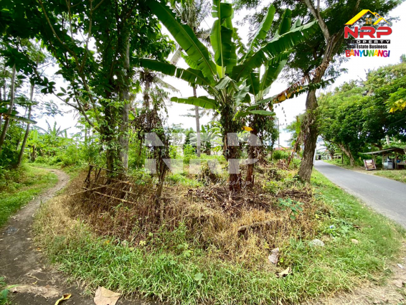 Dijual Tanah Siap Bangun tepi Jl. Desa Badean - Kabat  Dijual Tanah Siap Bangun tepi Jl. Desa Badean - Kabat  Dijual Tanah Siap Bangun tepi Jl. Desa Badean - Kabat&nbsp;
Berada di Jalur lintas selatan.&nbsp;

LT : 4.144 M2&nbsp;
SHM NRP BANYUWANGI