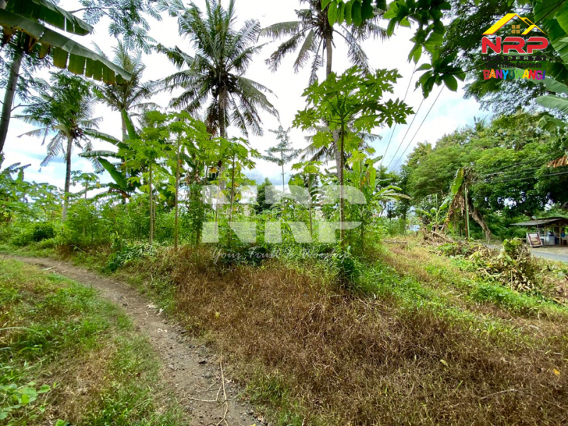 Dijual Tanah Siap Bangun tepi Jl. Desa Badean - Kabat  Dijual Tanah Siap Bangun tepi Jl. Desa Badean - Kabat  Dijual Tanah Siap Bangun tepi Jl. Desa Badean - Kabat&nbsp;
Berada di Jalur lintas selatan.&nbsp;

LT : 4.144 M2&nbsp;
SHM NRP BANYUWANGI