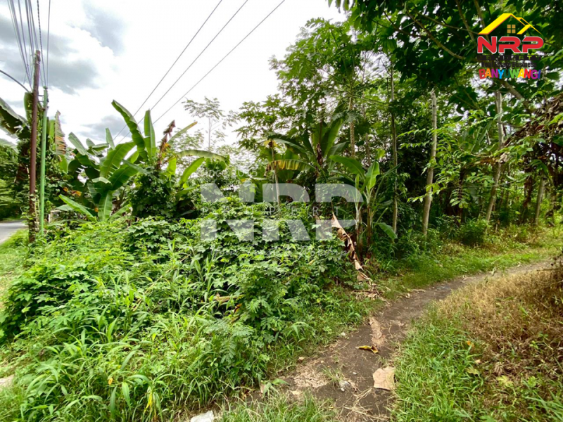 Dijual Tanah Siap Bangun tepi Jl. Desa Badean - Kabat  Dijual Tanah Siap Bangun tepi Jl. Desa Badean - Kabat  Dijual Tanah Siap Bangun tepi Jl. Desa Badean - Kabat&nbsp;
Berada di Jalur lintas selatan.&nbsp;

LT : 4.144 M2&nbsp;
SHM NRP BANYUWANGI