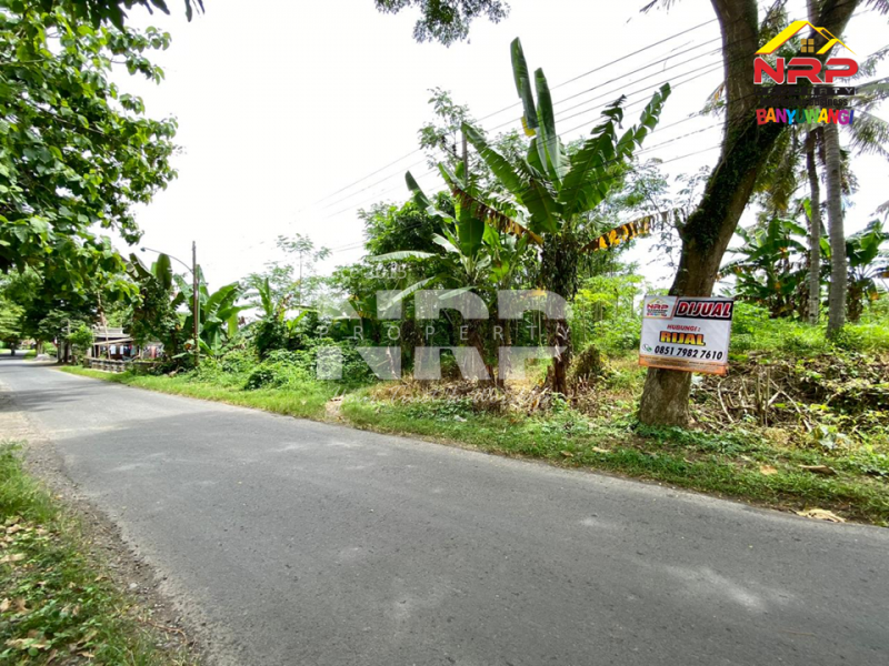 Dijual Tanah Siap Bangun tepi Jl. Desa Badean - Kabat  Dijual Tanah Siap Bangun tepi Jl. Desa Badean - Kabat  Dijual Tanah Siap Bangun tepi Jl. Desa Badean - Kabat&nbsp;
Berada di Jalur lintas selatan.&nbsp;

LT : 4.144 M2&nbsp;
SHM NRP BANYUWANGI