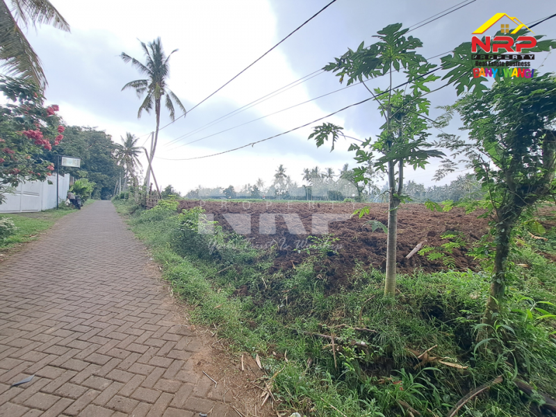 Dijual Tanah Siap Tanam di Desa Olehsari - Banyuwangi  Dijual Tanah Siap Tanam di Desa Olehsari - Banyuwangi  Dijual Tanah Siap Tanam di Desa Olehsari - Banyuwangi&nbsp;
Akses jl. paving truk dan mobil masuk, 400 meter Jl. Raya Ijen.&nbsp;
Kawasannya sejuk, NRP BANYUWANGI