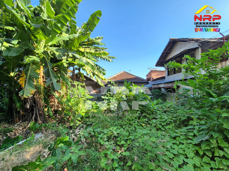 Dijual Tanah siapp bangun di Karangrejo - Banyuwangi  Dijual Tanah siapp bangun di Karangrejo - Banyuwangi  Dijual Tanah siapp bangun di Karangrejo - Banyuwangi&nbsp;
Dekat dengan Pasar Blambangan, Taman Blambangan, dan Pantai Boom Banyuwangi&nbsp;&nbsp;

Luas NRP BANYUWANGI