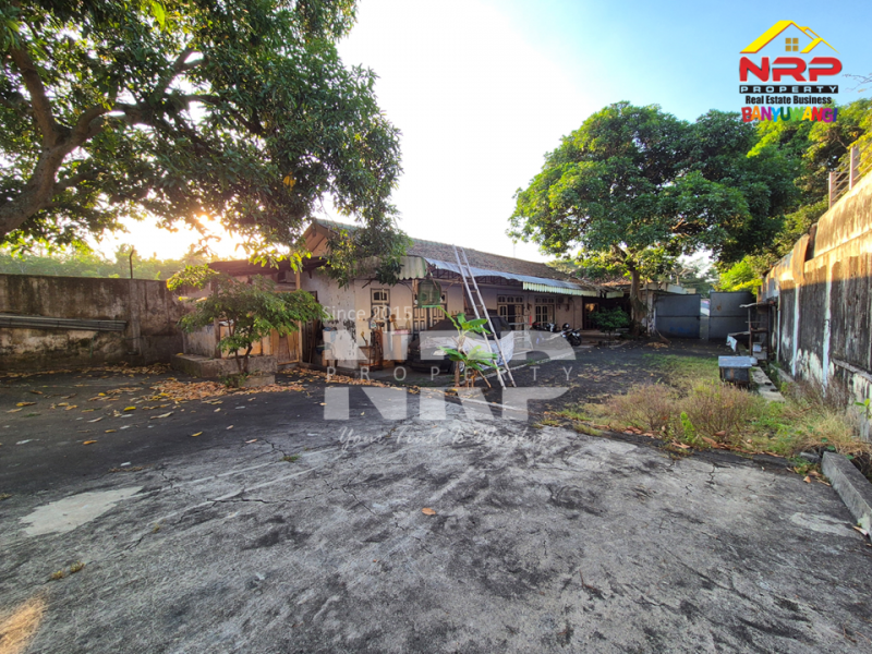 DIJUAL TANAH STRATEGIS BONUS RUMAH, GUDANG & KANTOR DI SUKOWIDI, BANYUWANGI DIJUAL TANAH STRATEGIS BONUS RUMAH, GUDANG & KANTOR DI SUKOWIDI, BANYUWANGI DIJUAL TANAH STRATEGIS BONUS RUMAH, GUDANG & KANTOR DI SUKOWIDI, BANYUWANGI
Harga murah banget! Jauh di bawah harga pasar!&nbsp;
Kesempatan langka NRP BANYUWANGI