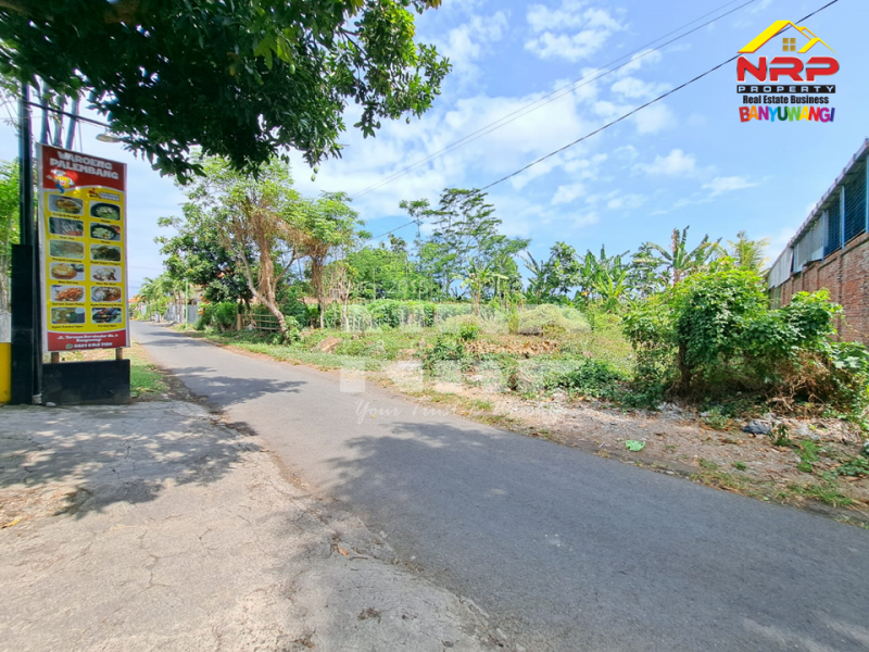 Dijual Tanah Strategis di Barat Kantor Bupati  Banyuwangi Dijual Tanah Strategis di Barat Kantor Bupati  Banyuwangi Dijual Tanah Strategis di Barat Kantor Bupati&nbsp; Banyuwangi
Terletak di Jl. Terusan Borobudur
Sangat Cocok untuk Rumah Kos Pegawai, Home Stay,&nbsp; NRP BANYUWANGI