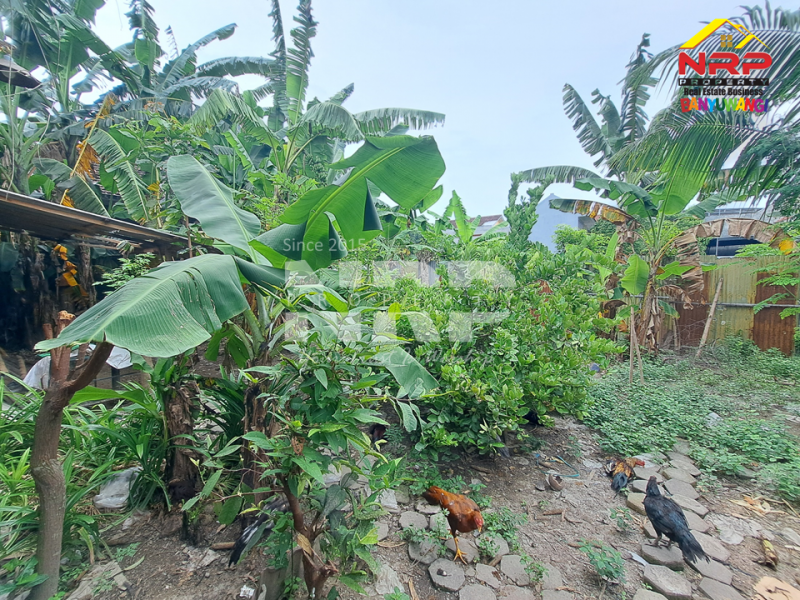Dijual Tanah Strategis di Barat Kantor Bupati  Banyuwangi Dijual Tanah Strategis di Barat Kantor Bupati  Banyuwangi Dijual Tanah Strategis di Barat Kantor Bupati&nbsp; Banyuwangi
Sangat Cocok untuk Rumah Kos Pegawai, Home Stay,&nbsp; Hunian Pribadi dan Ruang Usaha NRP BANYUWANGI