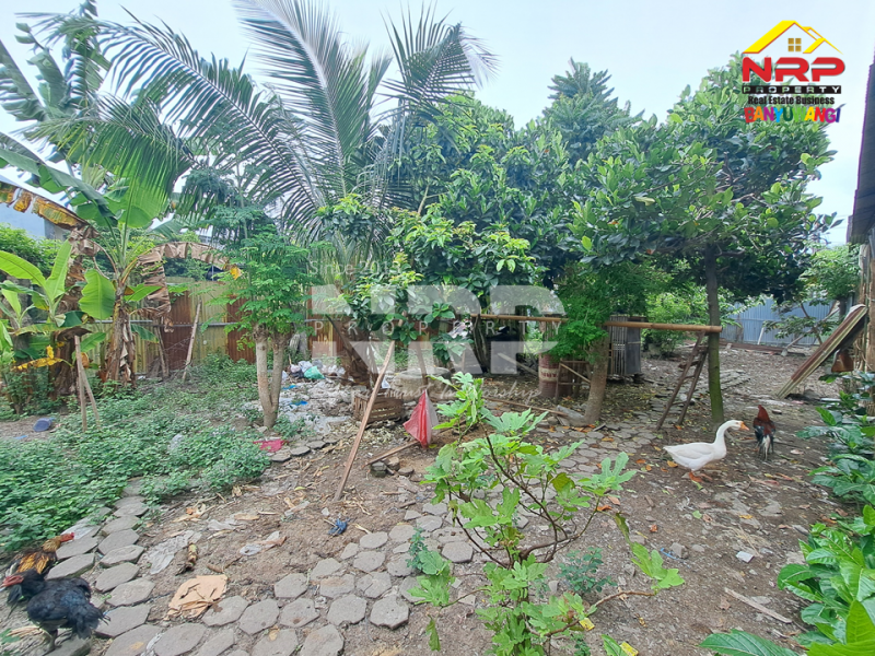 Dijual Tanah Strategis di Barat Kantor Bupati  Banyuwangi Dijual Tanah Strategis di Barat Kantor Bupati  Banyuwangi Dijual Tanah Strategis di Barat Kantor Bupati&nbsp; Banyuwangi
Sangat Cocok untuk Rumah Kos Pegawai, Home Stay,&nbsp; Hunian Pribadi dan Ruang Usaha NRP BANYUWANGI