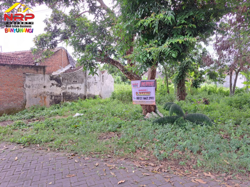 Dijual Tanah Strategis di Belakang Kantor Kejaksaan Banyuwangi  Dijual Tanah Strategis di Belakang Kantor Kejaksaan Banyuwangi  Dijual Tanah Strategis di Belakang Kantor Kejaksaan Banyuwangi&nbsp;
Lokasi di Jantung Kota Banyuwangi, 100 Meter dari Jl. Jaksa Agung Suprapto
Dekat dengan NRP BANYUWANGI