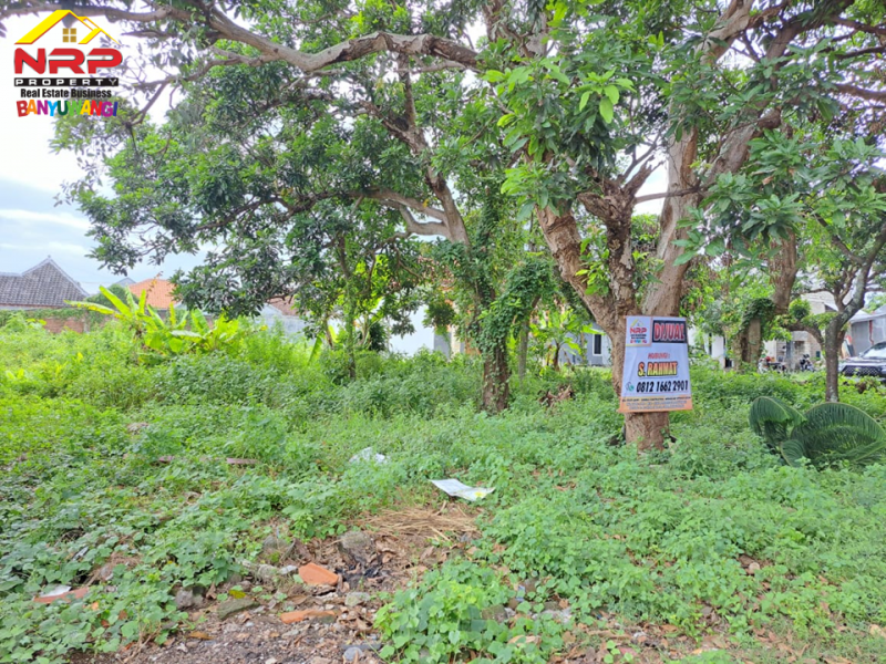 Dijual Tanah Strategis di Belakang Kantor Kejaksaan Banyuwangi  Dijual Tanah Strategis di Belakang Kantor Kejaksaan Banyuwangi  Dijual Tanah Strategis di Belakang Kantor Kejaksaan Banyuwangi&nbsp;
Lokasi di Jantung Kota Banyuwangi, 100 Meter dari Jl. Jaksa Agung Suprapto
Dekat dengan NRP BANYUWANGI