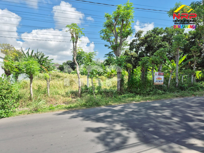 Dijual Tanah Strategis di Belakang Kantor Pemkab Banyuwangi  Dijual Tanah Strategis di Belakang Kantor Pemkab Banyuwangi  Dijual Tanah Strategis di Belakang Kantor Pemkab Banyuwangi&nbsp;
Lokasi sangat strategis di Tepi Jl. Padjajaran - Banyuwangi&nbsp;
Cocok untuk hunian dan NRP BANYUWANGI