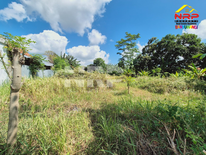 Dijual Tanah Strategis di Belakang Kantor Pemkab Banyuwangi  Dijual Tanah Strategis di Belakang Kantor Pemkab Banyuwangi  Dijual Tanah Strategis di Belakang Kantor Pemkab Banyuwangi&nbsp;
Lokasi sangat strategis di Tepi Jl. Padjajaran - Banyuwangi&nbsp;
Cocok untuk hunian dan NRP BANYUWANGI