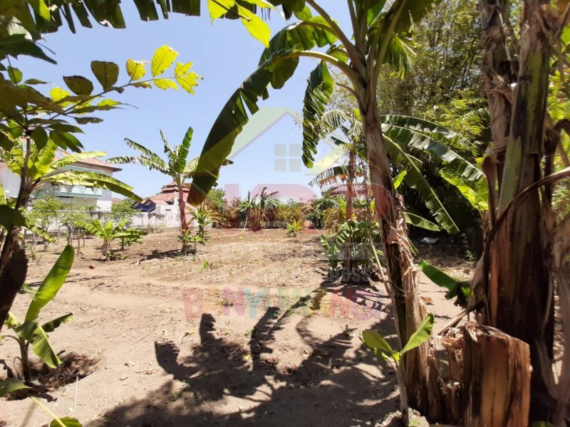 Dijual Tanah Strategis di Depan Stasiun Kreta Api Ketapang  - Banyuwangi Dijual Tanah Strategis di Depan Stasiun Kreta Api Ketapang  - Banyuwangi Dijual Tanah Strategis di Depan Stasiun Kreta Api Ketapang&nbsp; - Banyuwangi
Sangat Cocok Untuk Resto, Home Stay, Gues house, Rumah Kos dan Lainnya ( Jika di NRP BANYUWANGI